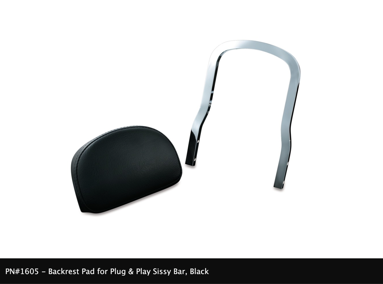 Plug & Play Sissy Bar & Backrest Pad