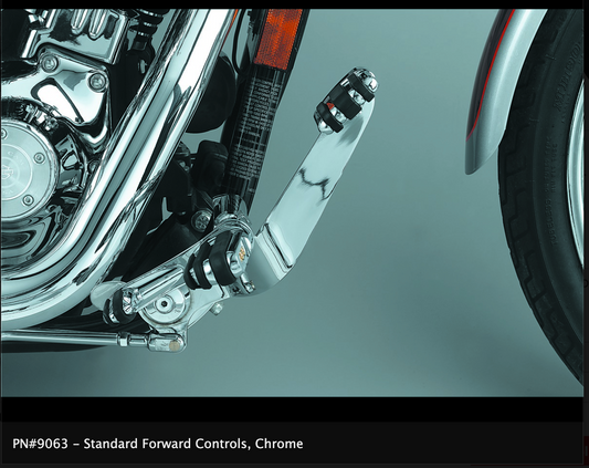 Forward Controls for Dyna